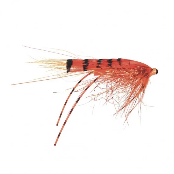 Kampanj Frödin Micro Series - G.P Special