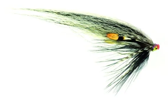 Beställ nu Frödin Micro Series - Zebra