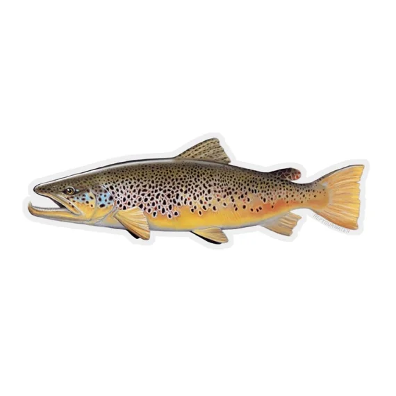 Populärt val RepYourWater Sticker - Brown Trout