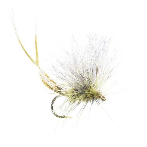 Outlet Umpqua Extended Body Green Drake - #12