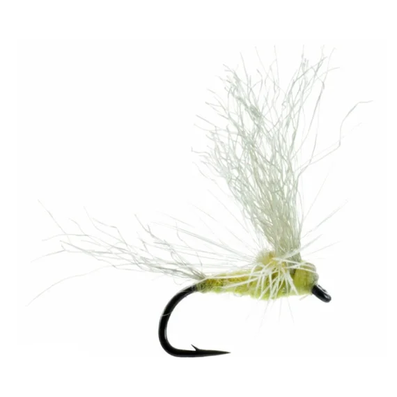 Umpqua May Day PMD Outlet