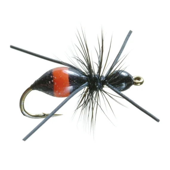 Umpqua Attract-Ant Black/Red - #16 Populärt val
