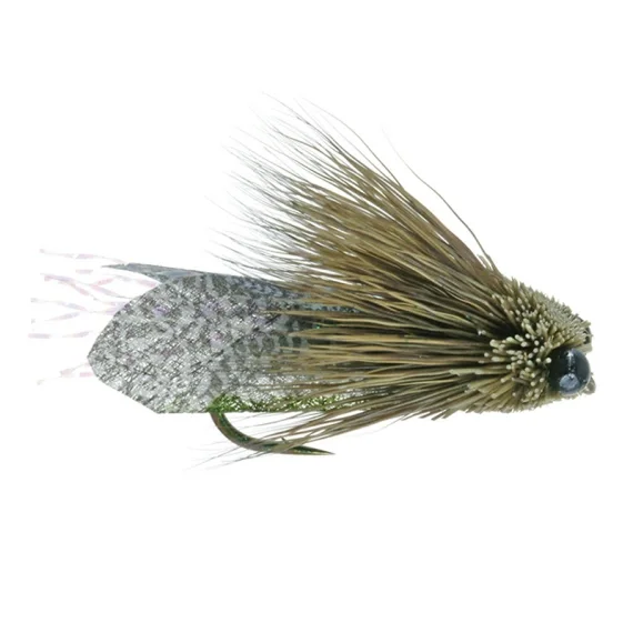Fri frakt Umpqua Clark's Cicada Olive - #10