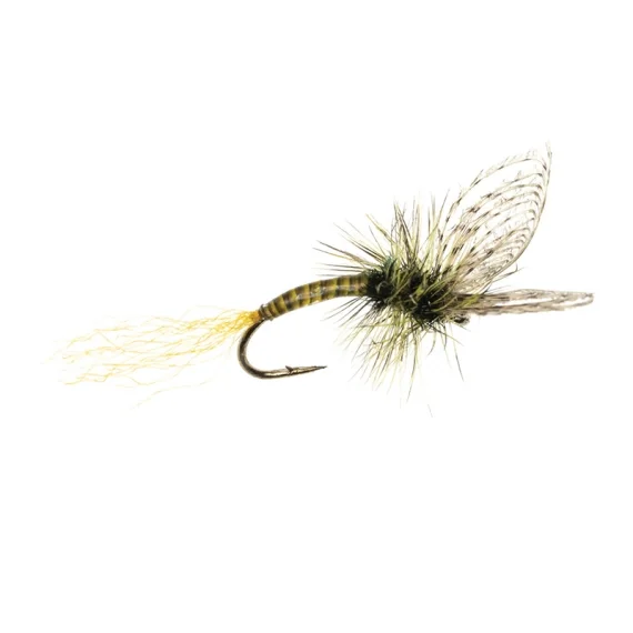 Umpqua Maldos PMD Emerger Maldonado Nedsatt pris