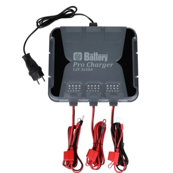 Lågt pris The Battery Pro Charger 12v/24v 3x10