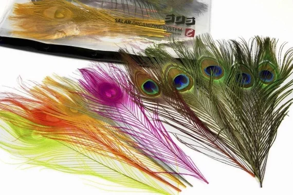 I lager "Frödin Peacock Feather Pack"