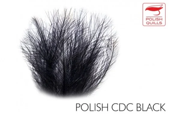 Begränsad tid Polish Quill CDC