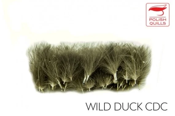 Polish Quill Wild Duck CDC Beställ nu