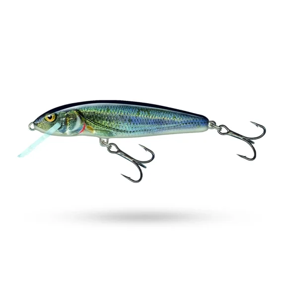 Beställ nu Salmo Minnow Floating