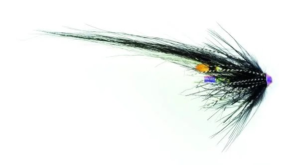 Frödin Samurai Series - Zebra Erbjudande