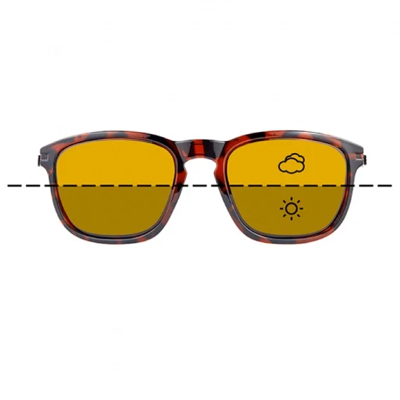 Fortis Eyewear Strokes, Switch Endast denna vecka