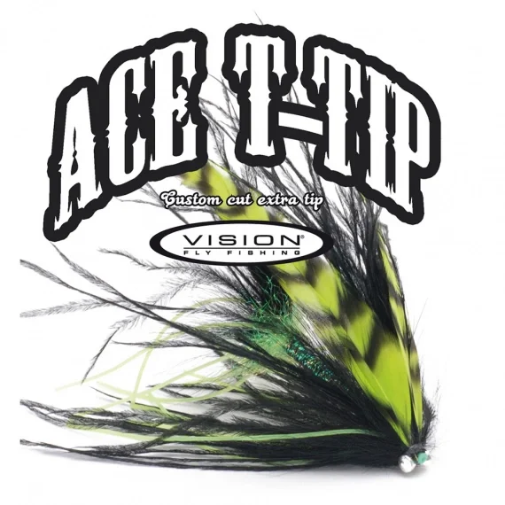 Snabb frakt Vision ACE tip 12,5ft