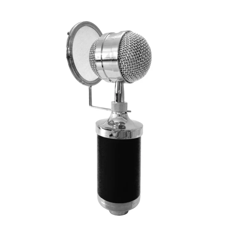 Beställ idag 3000 Home KTV Mic Condenser - Kondensatormikrofon för Hemmastudion