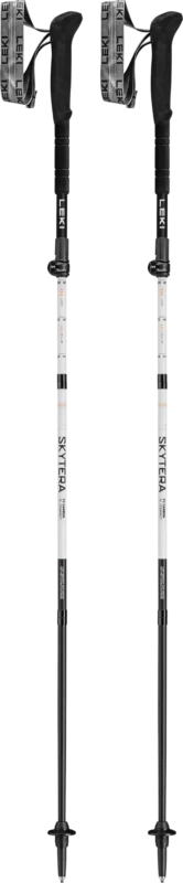 Fynd Leki Skytera FX Carbon SL Compact