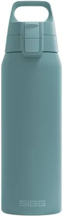 Billigare Sigg 0.75 Shield Therm One