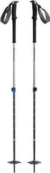 Expedition 2 Ski Poles (2021) I lager