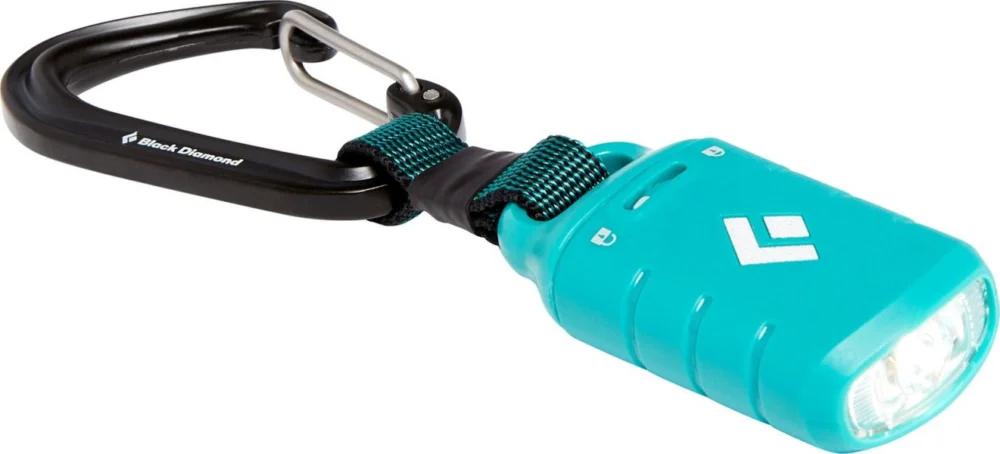 Expressleverans Ion Keychain Light Aqua Blue