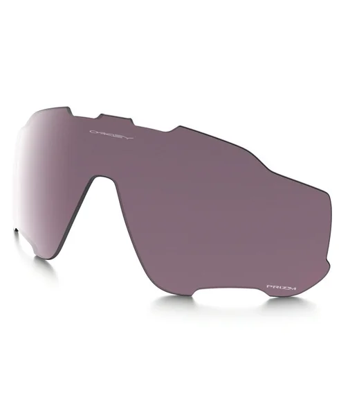 Sänkt pris Jawbreaker Prizm Daily Polarized