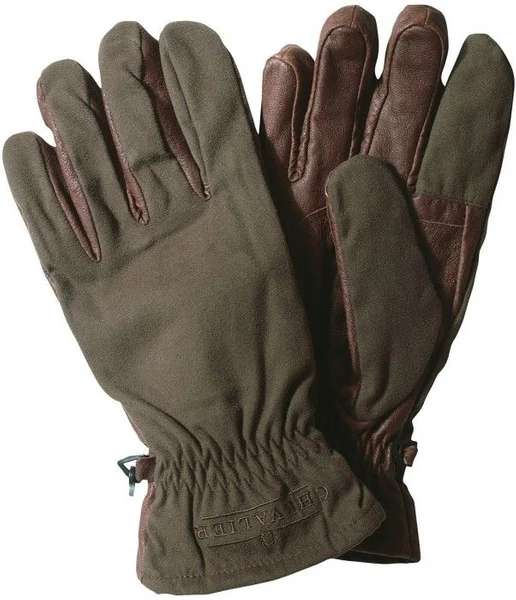 Populärt val Archer Gore-Tex Glove