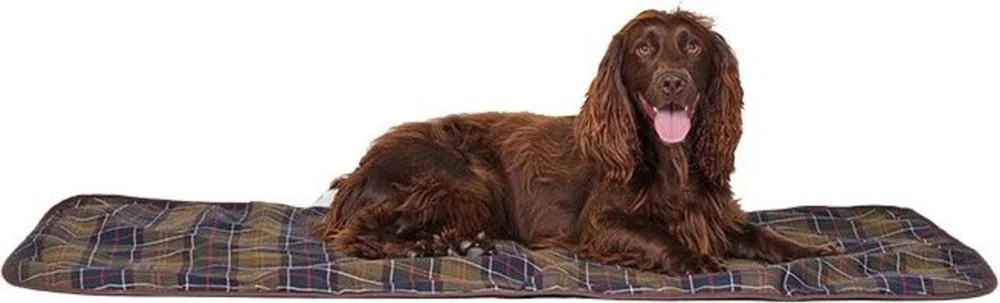 Dog Blanket Large 124 x 146 cm Beställ nu