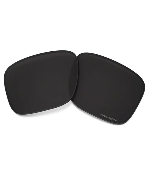Beställ idag Holbrook Prizm Black
