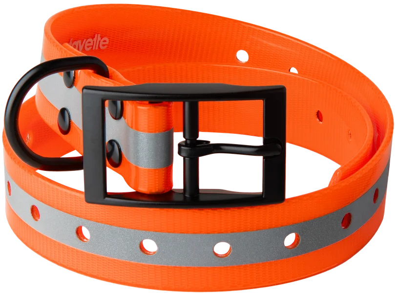 Hundhalsband Orange med reflex Kampanjpris