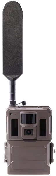 Billigare Burrel S22WA Global Svart