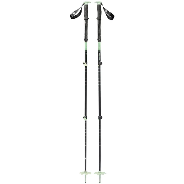 Expedition 3 Ski Poles Desert Sage Rea