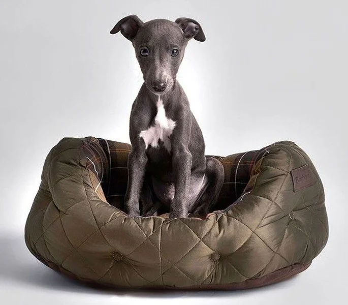 Extra rabatt Quilted Dog Bed 18 Olive