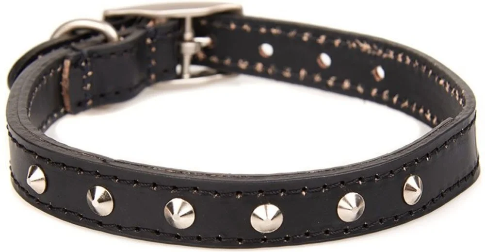Fynd International Leather Dog Collar Collar