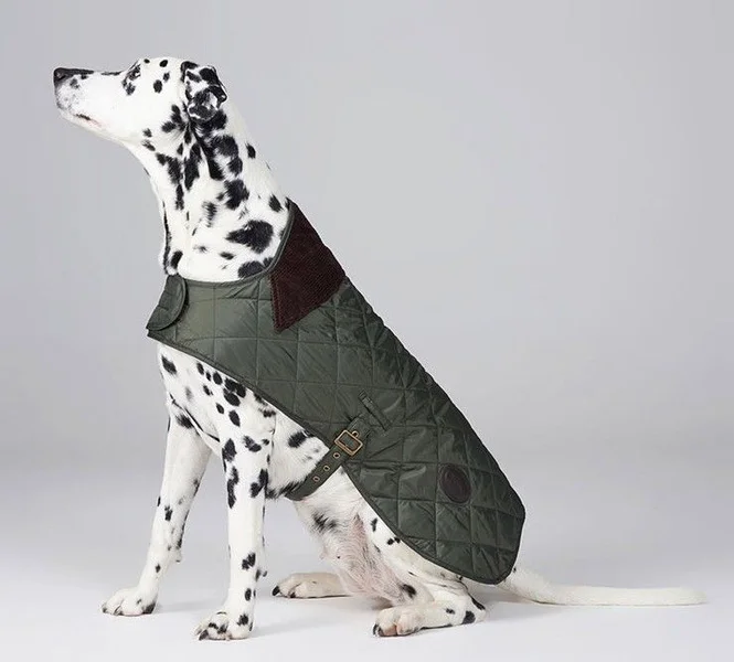 Quilted Dog Coat Forest Snabb frakt