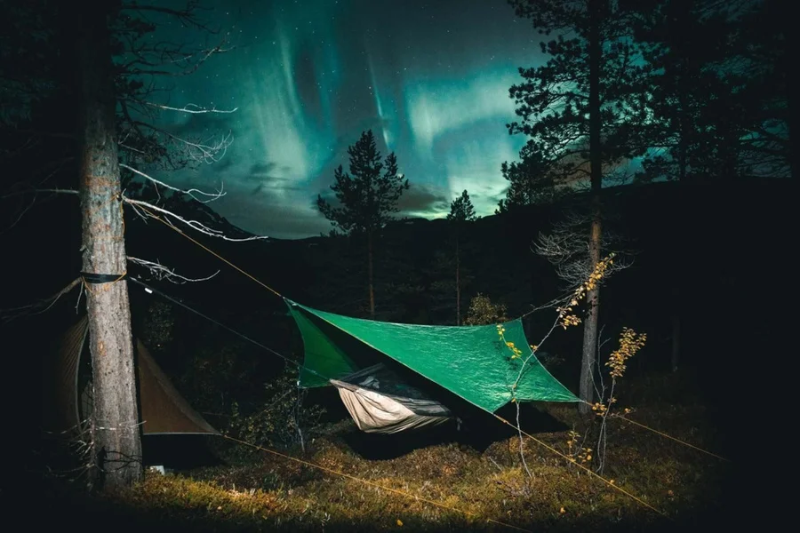 Traveller Tarp til Hengekøye Endast denna vecka